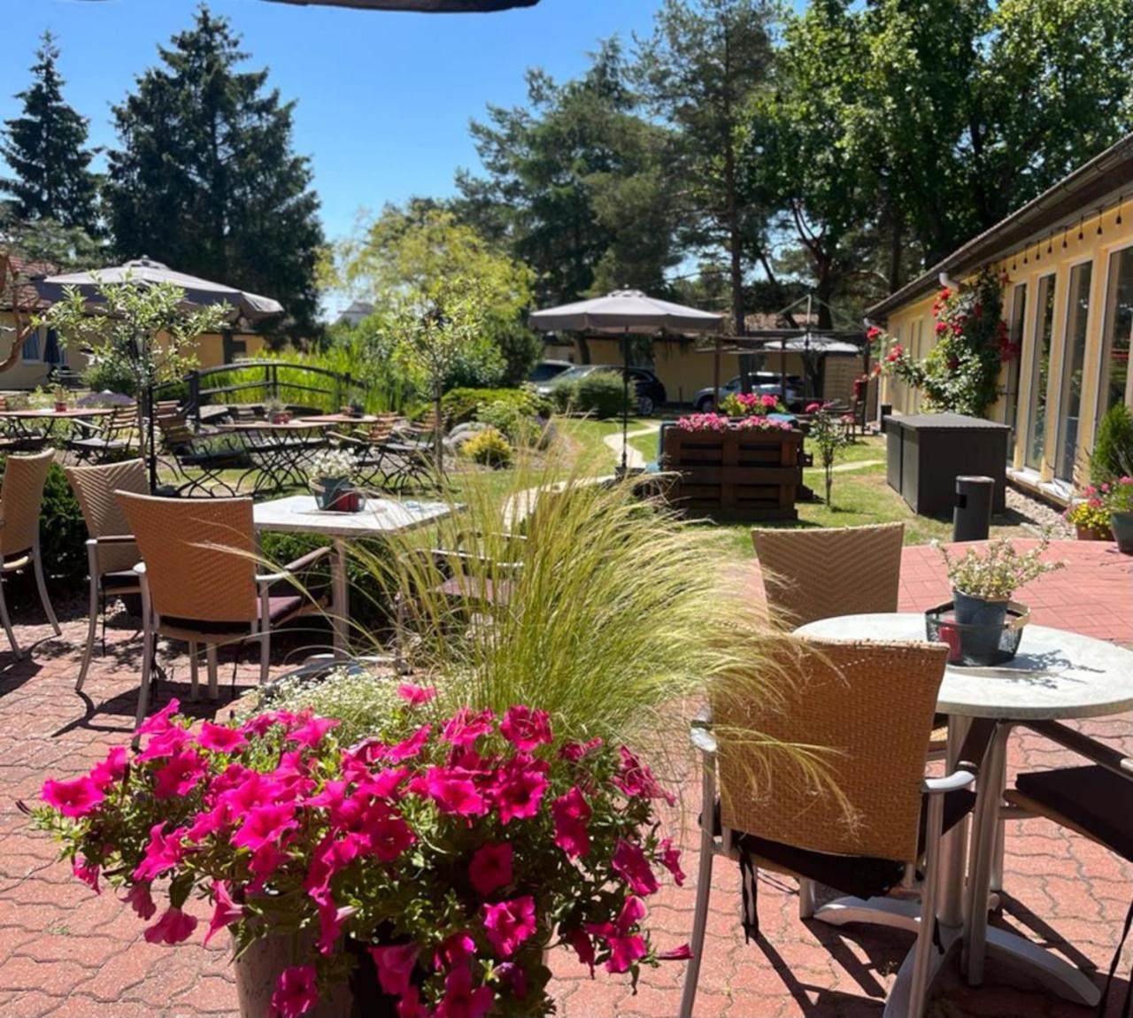 Hotel Pommerscher Hof Зиновиц Екстериор снимка